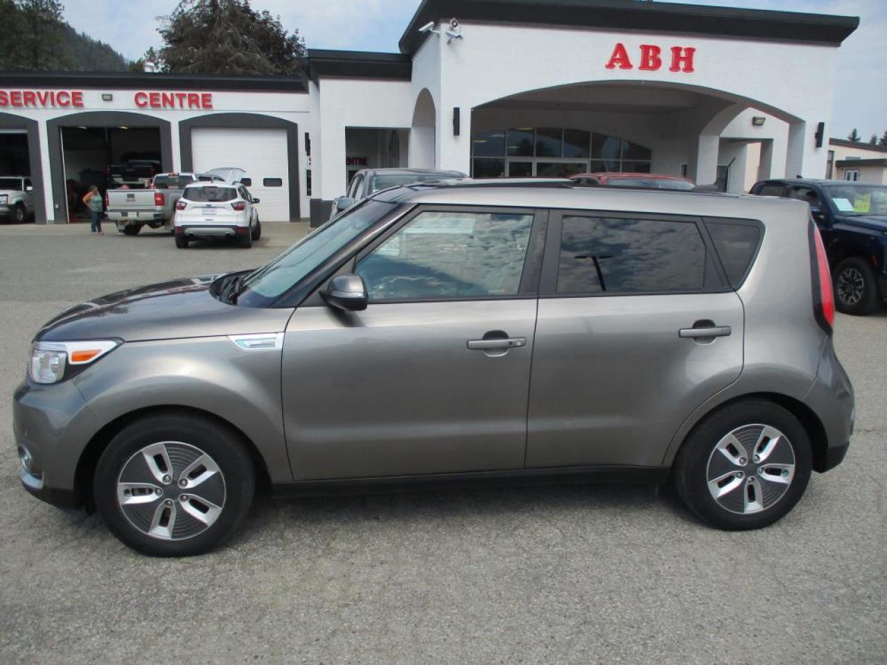 2019 Kia Soul EV Ev Luxury Photo2