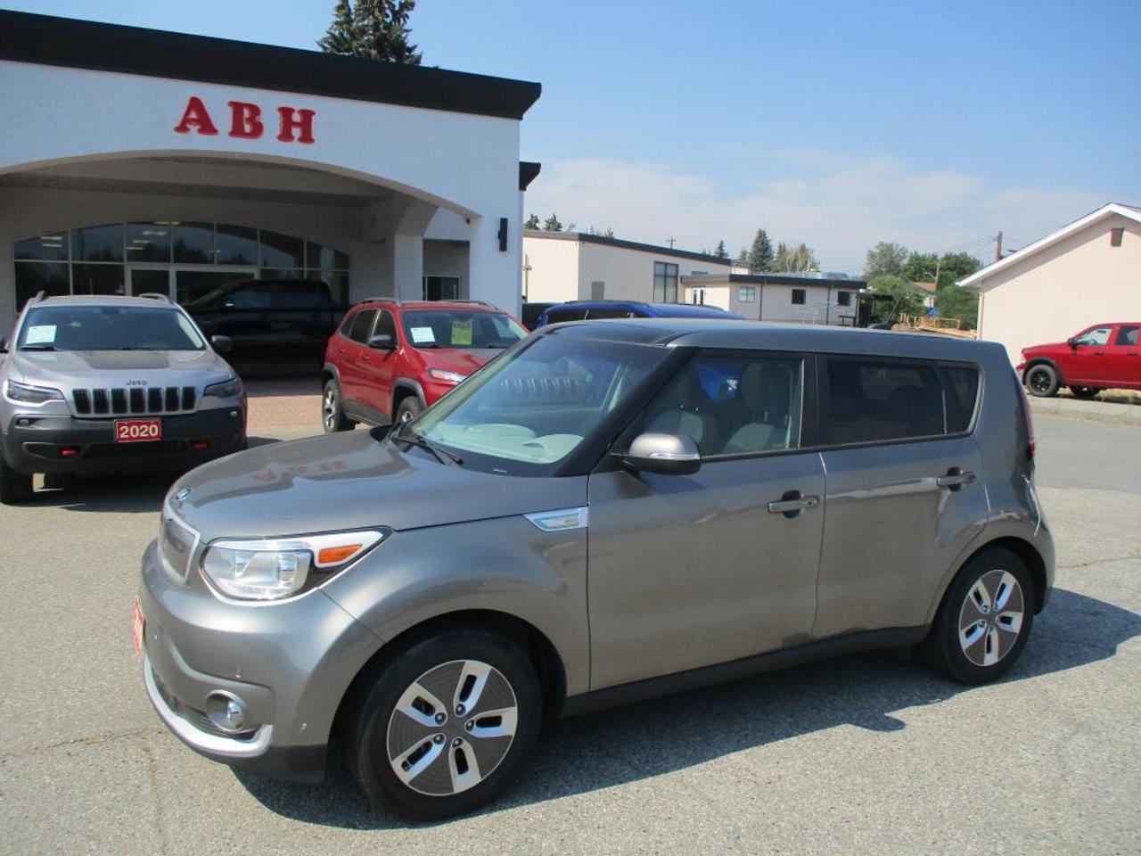 2019 Kia Soul EV Ev Luxury Photo