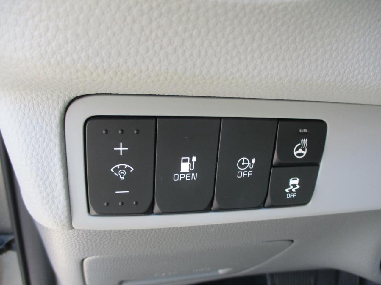 2019 Kia Soul EV Ev Luxury Photo