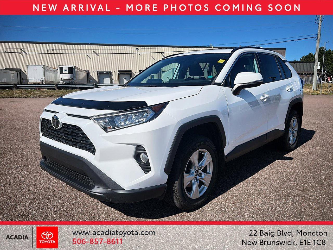 Used 2020 Toyota RAV4 XLE for sale in Moncton, NB