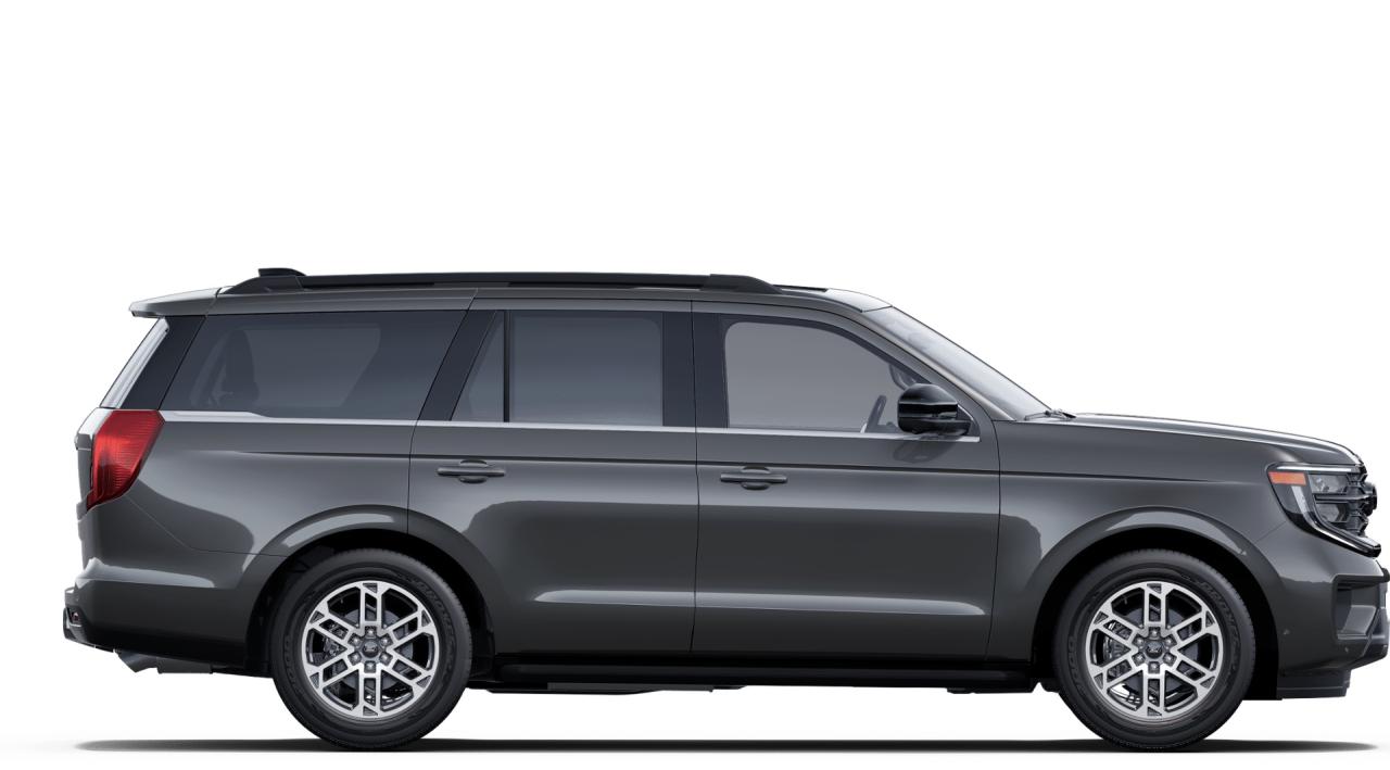 2025 Ford Expedition Active Photo5