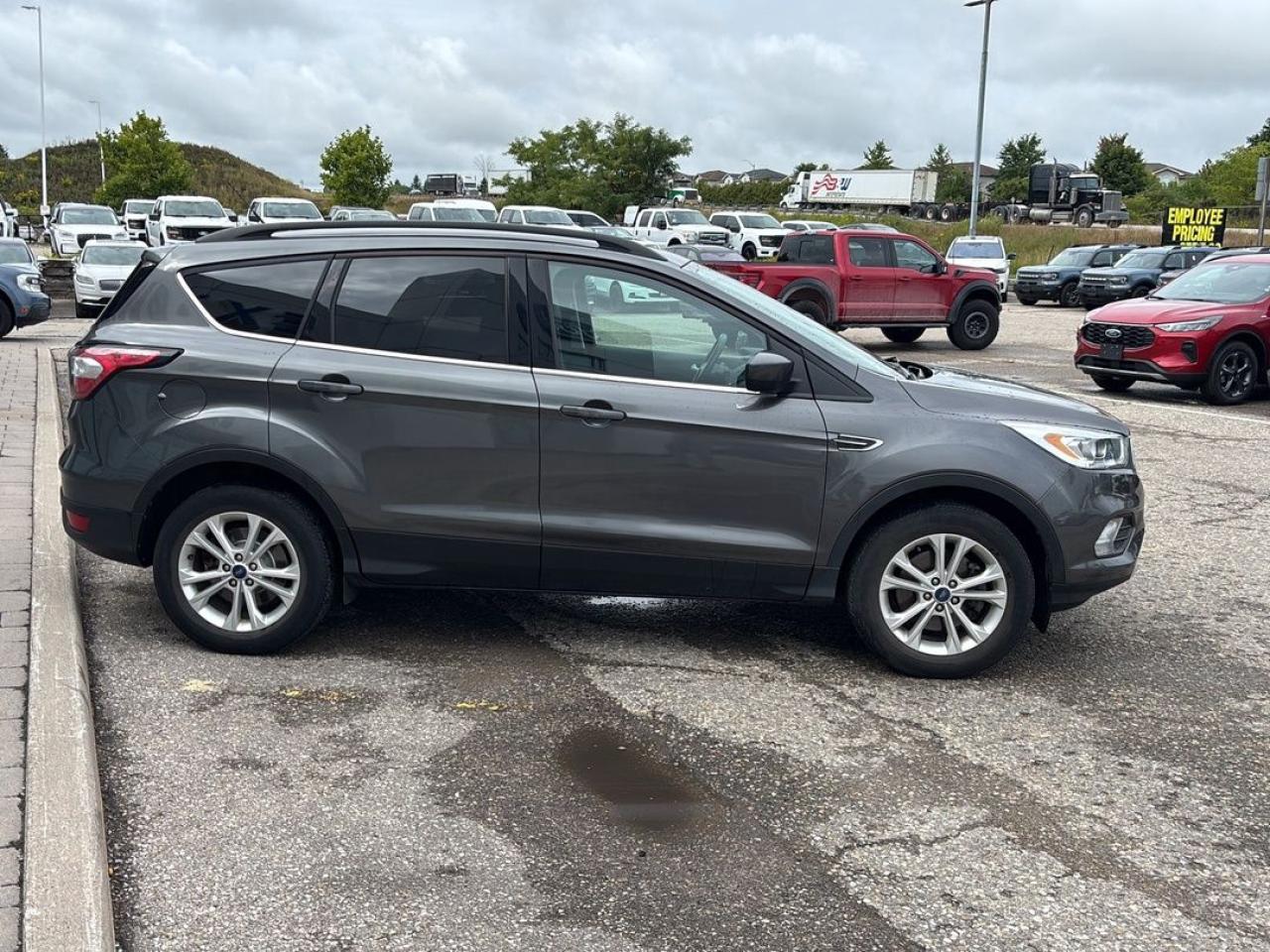 2017 Ford Escape SE Photo
