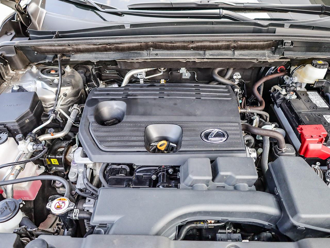 2024 Lexus NX 250 Photo4