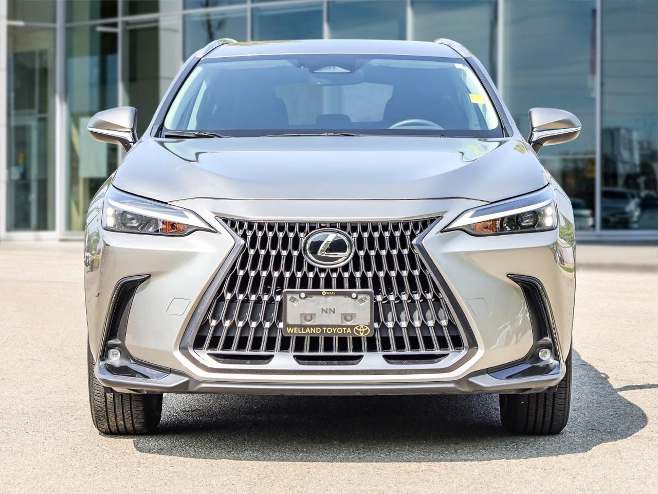 2024 Lexus NX 250 Photo3
