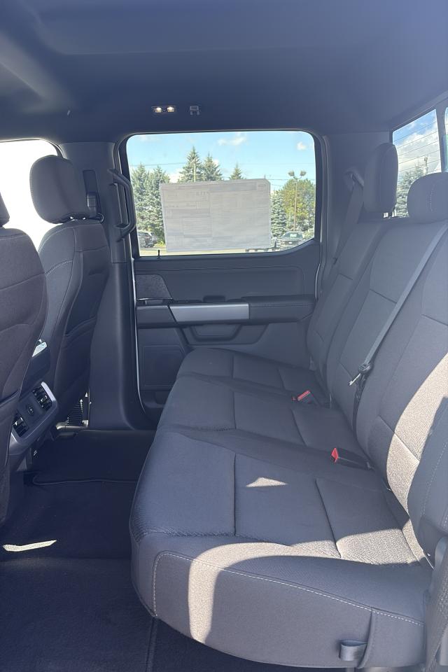2025 Ford F-150  Photo