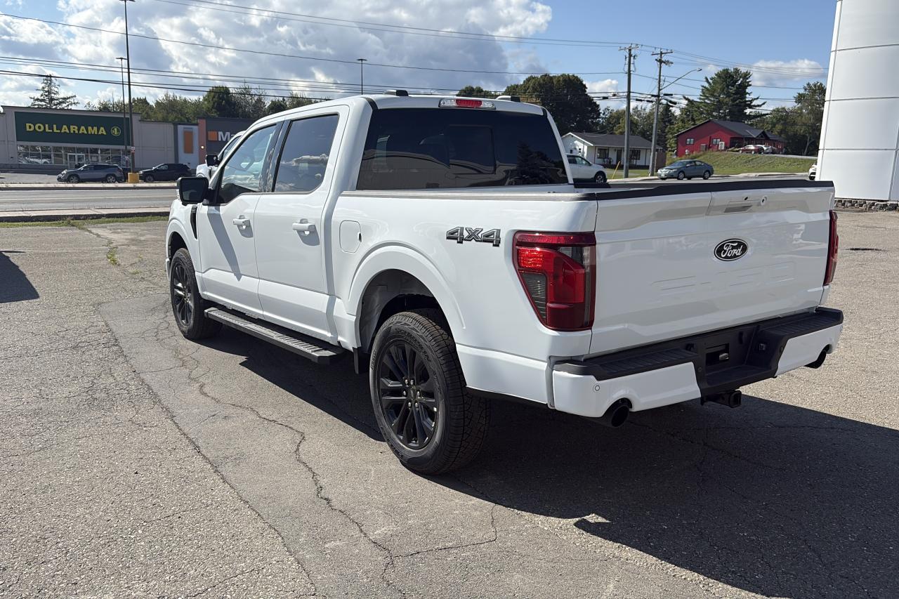 2025 Ford F-150  Photo5