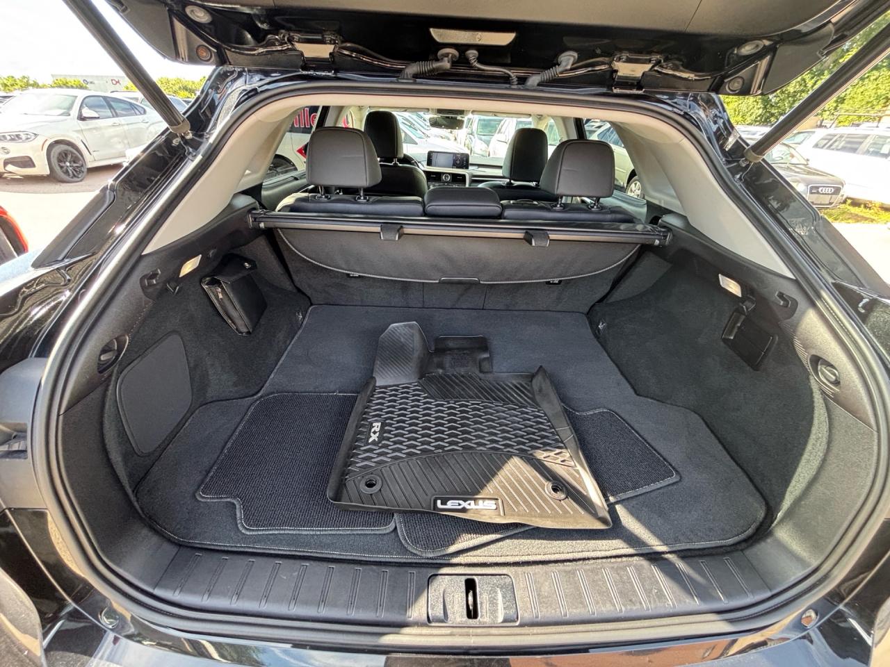 2021 Lexus RX RX 350 Auto Photo