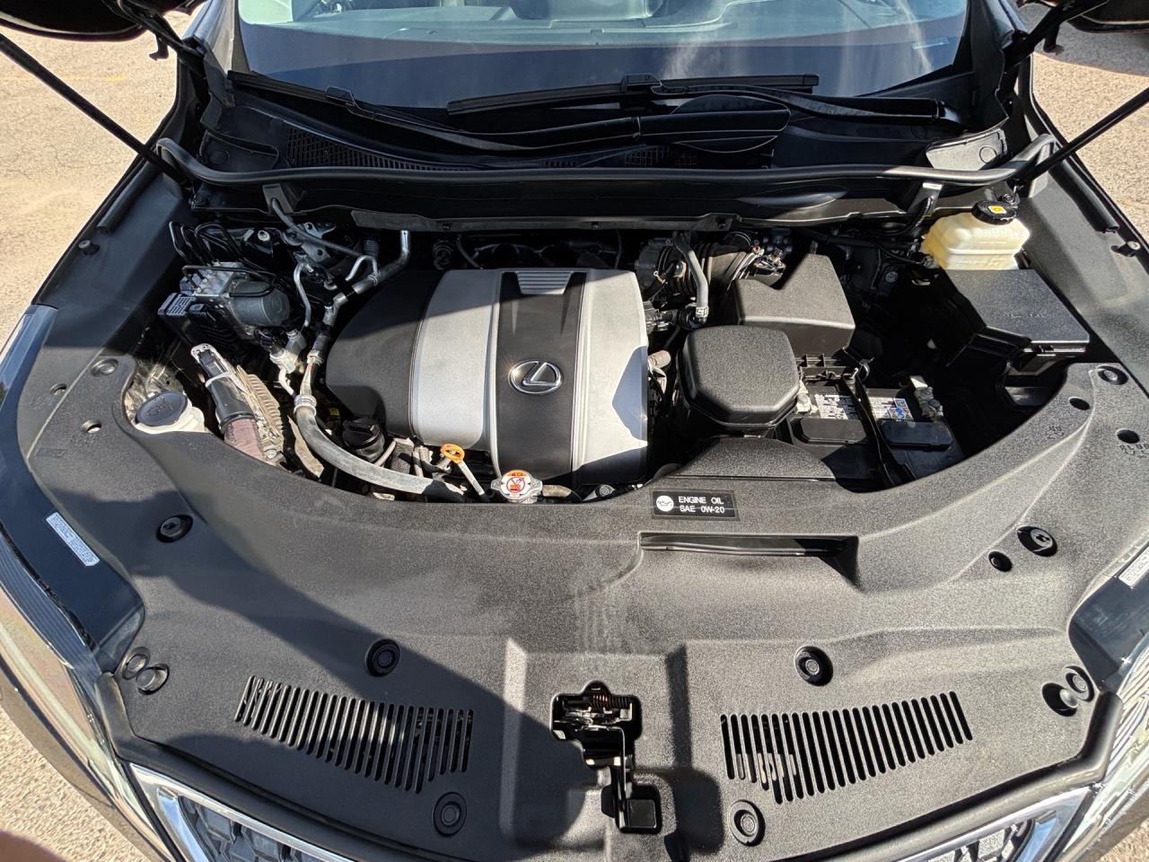 2021 Lexus RX RX 350 Auto Photo