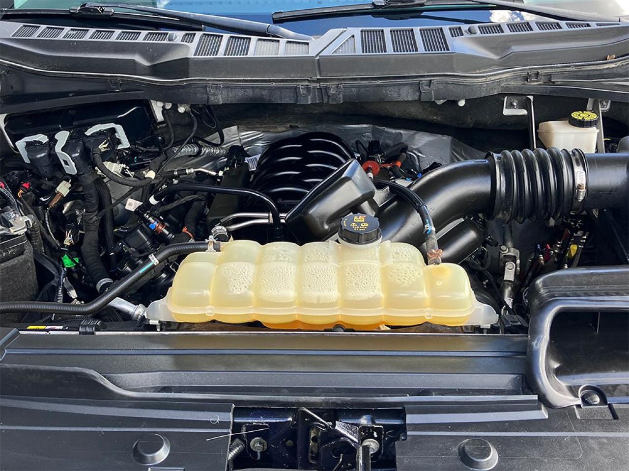 2021 Ford F-150 XLT|5.0L V8|4WD|6.5 BED|NAVI|REARCAM|6 SEATS - Photo #12