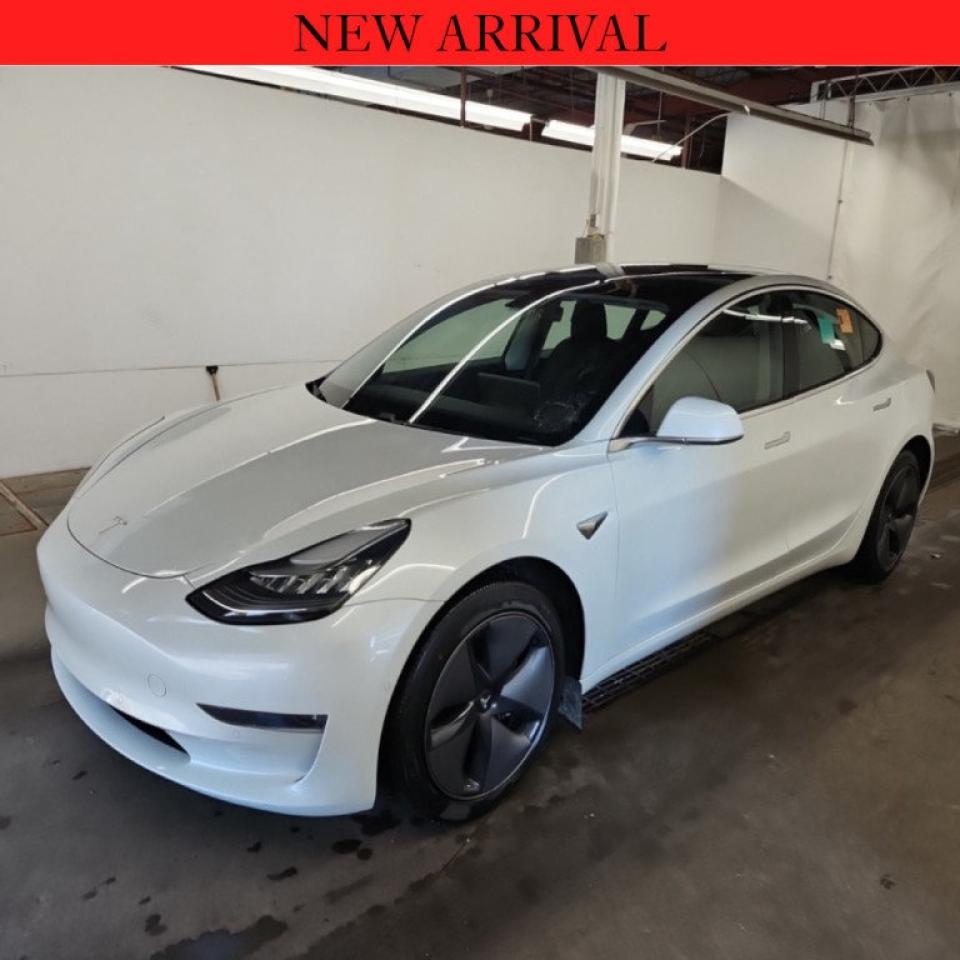 Used 2020 Tesla Model 3 LONG RANGE for sale in Winnipeg, MB