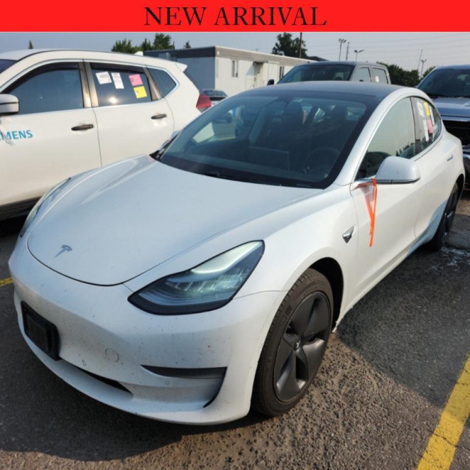 Used 2019 Tesla Model 3 Mid Range RWD | for sale in Winnipeg, MB