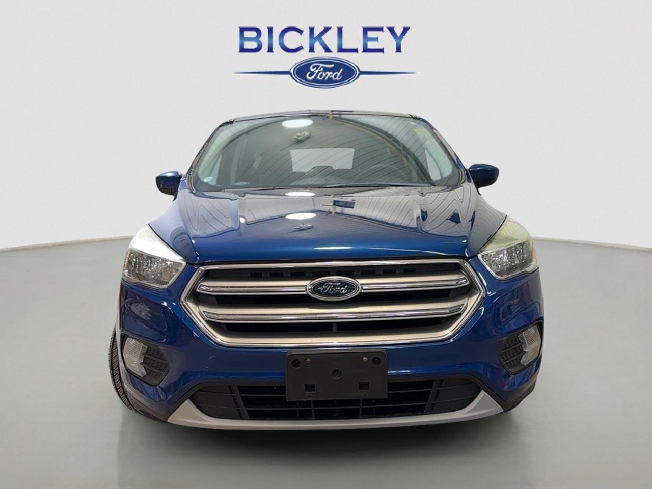 2017 Ford Escape SE Photo