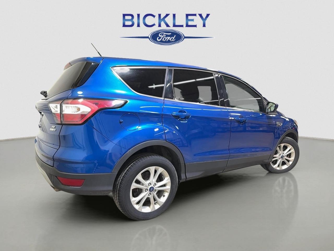 2017 Ford Escape SE Photo