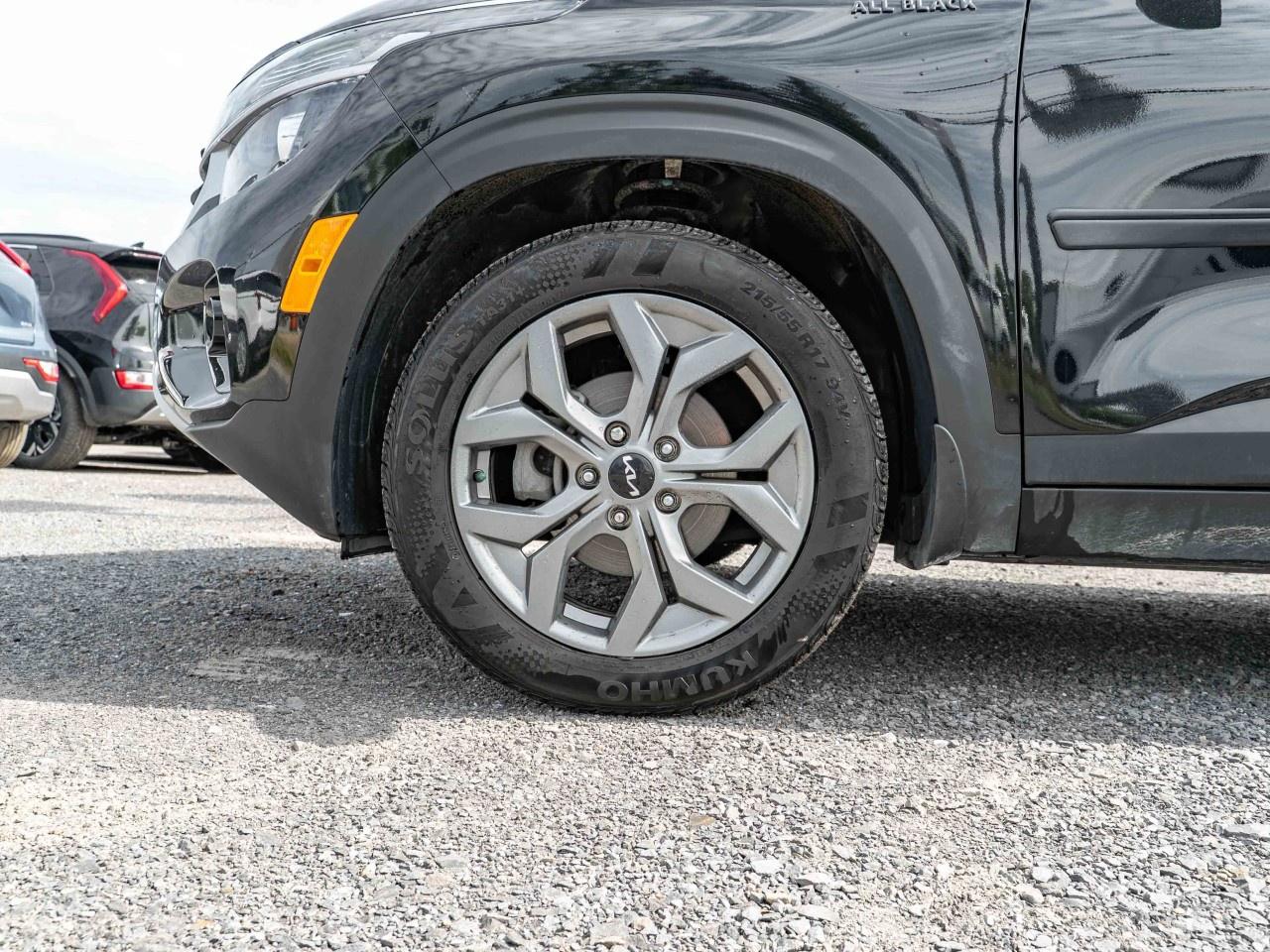 2024 Kia Seltos LX FWD Photo