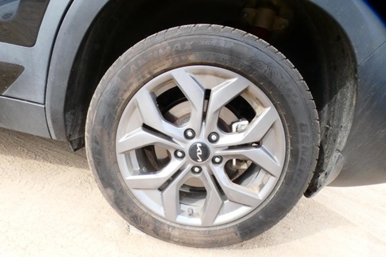 2024 Kia Seltos EX AWD w/Htd Leather, Htd wheel, S/R, BUC - Photo #18