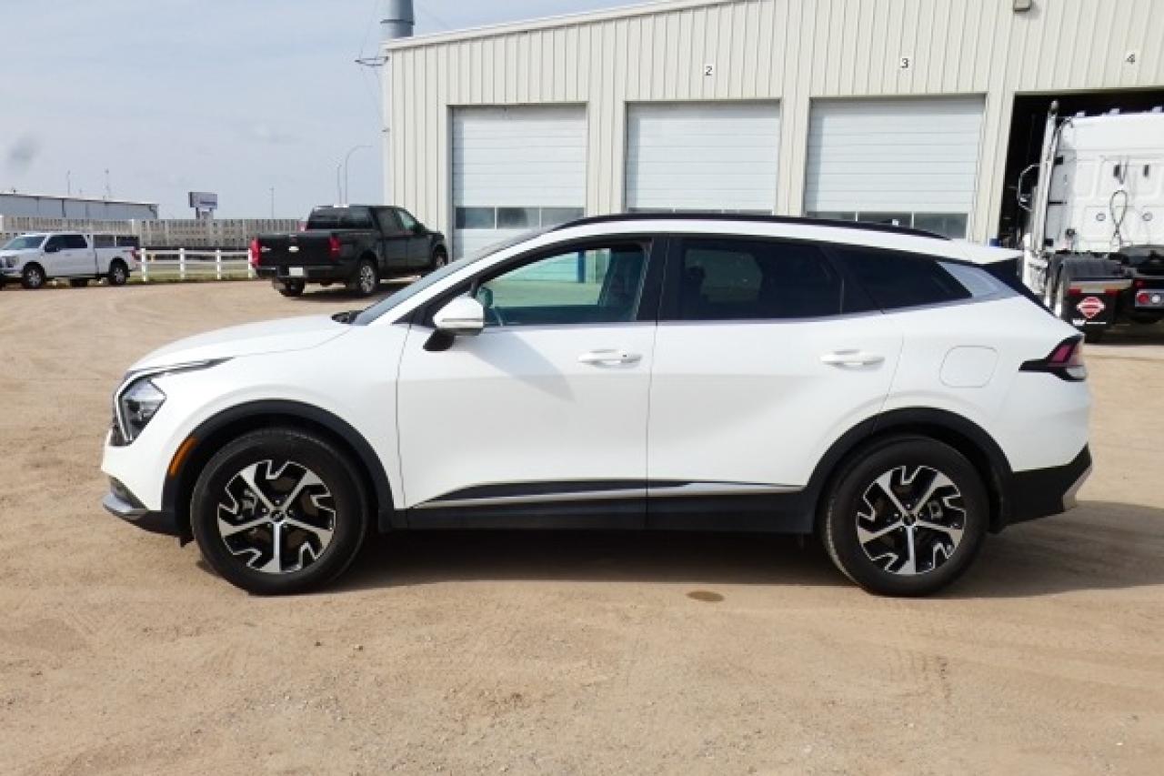 2024 Kia Sportage 