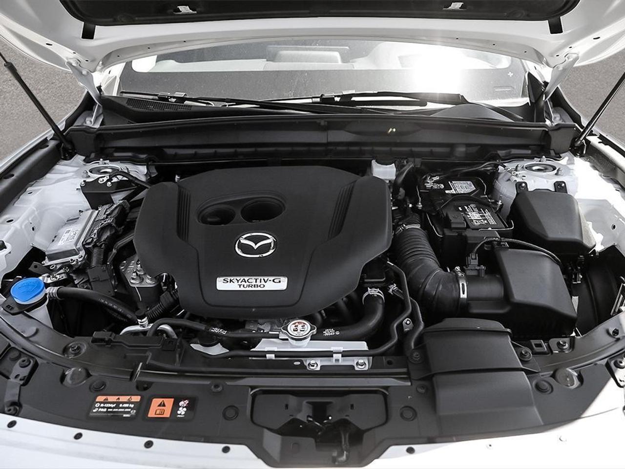 2025 Mazda CX-50 GT w/Turbo AWD Photo