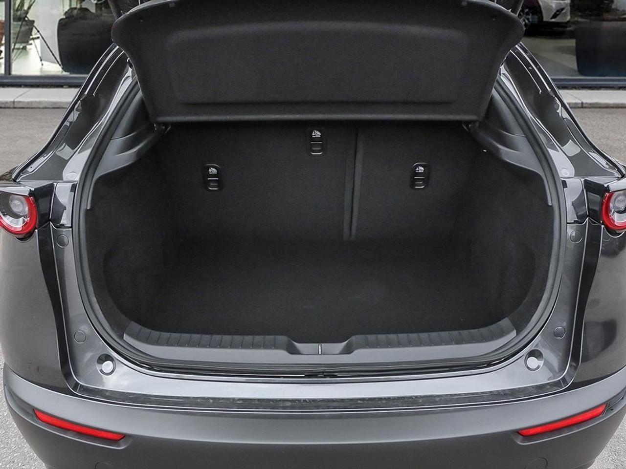 2025 Mazda CX-30 GX AWD Photo