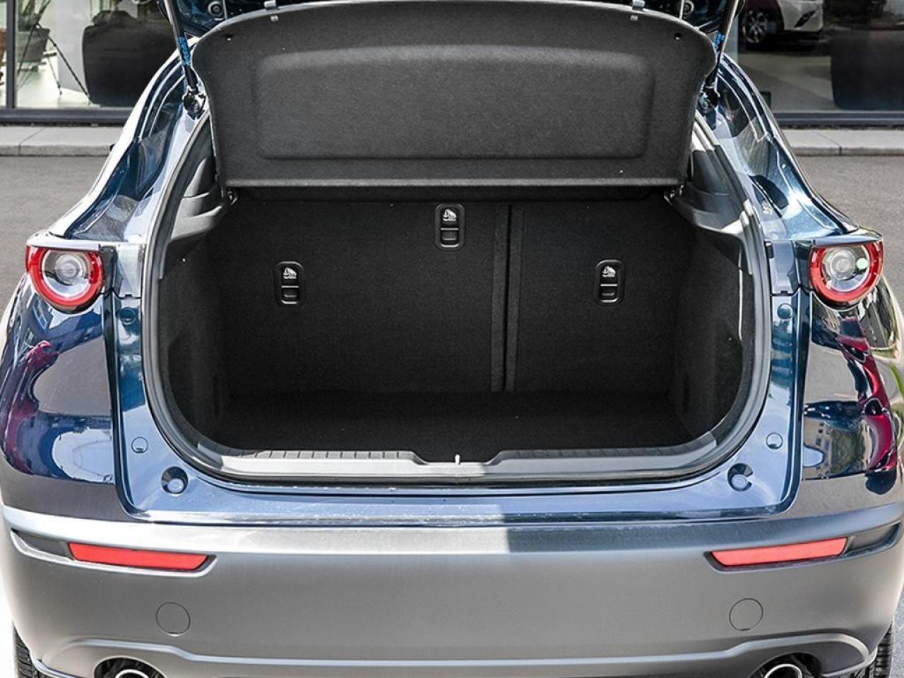 2025 Mazda CX-30 GX AWD Photo