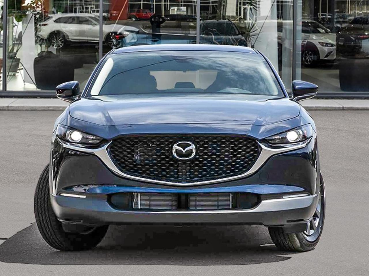 2025 Mazda CX-30 GX AWD Photo