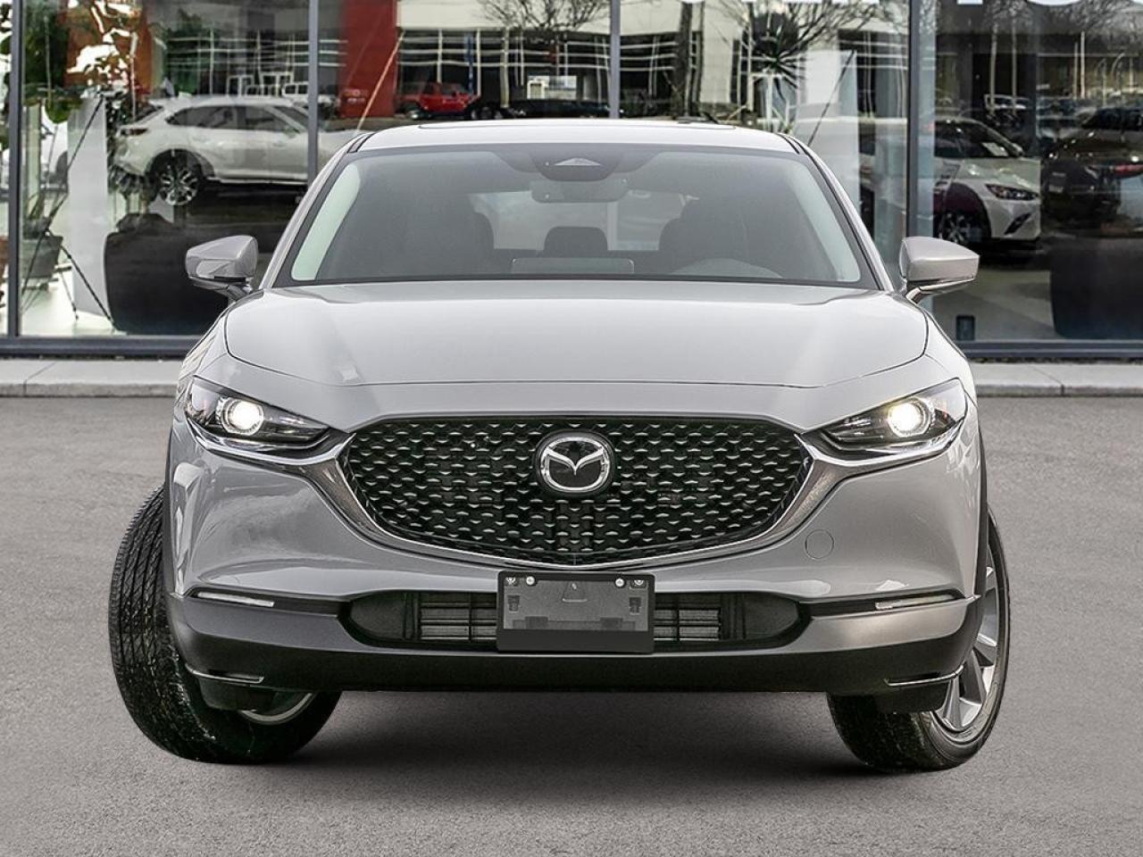 2025 Mazda CX-30 GS AWD Photo