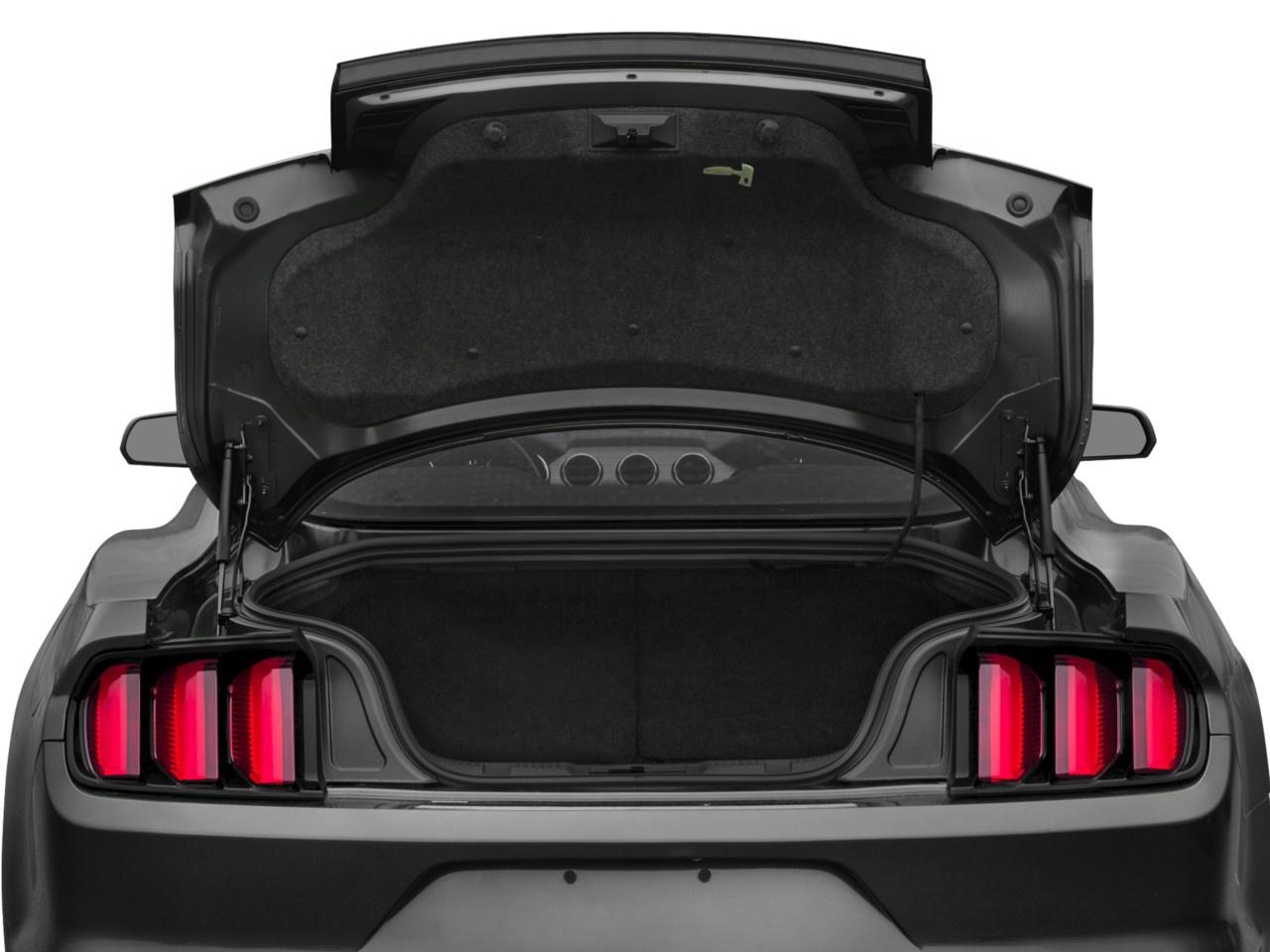 2016 Ford Mustang 2dr Fastback EcoBoost Photo