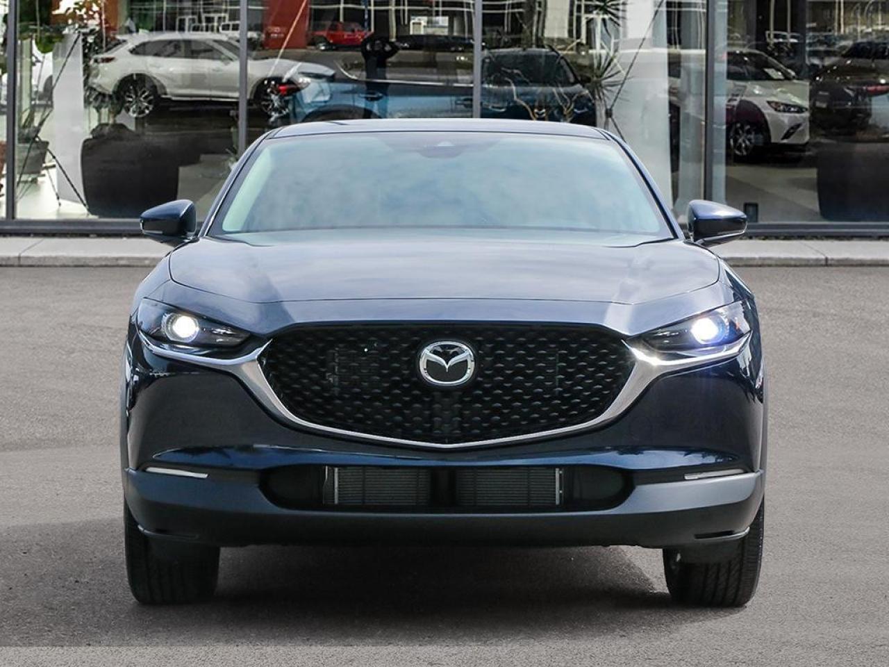 2025 Mazda CX-30 GS AWD Photo