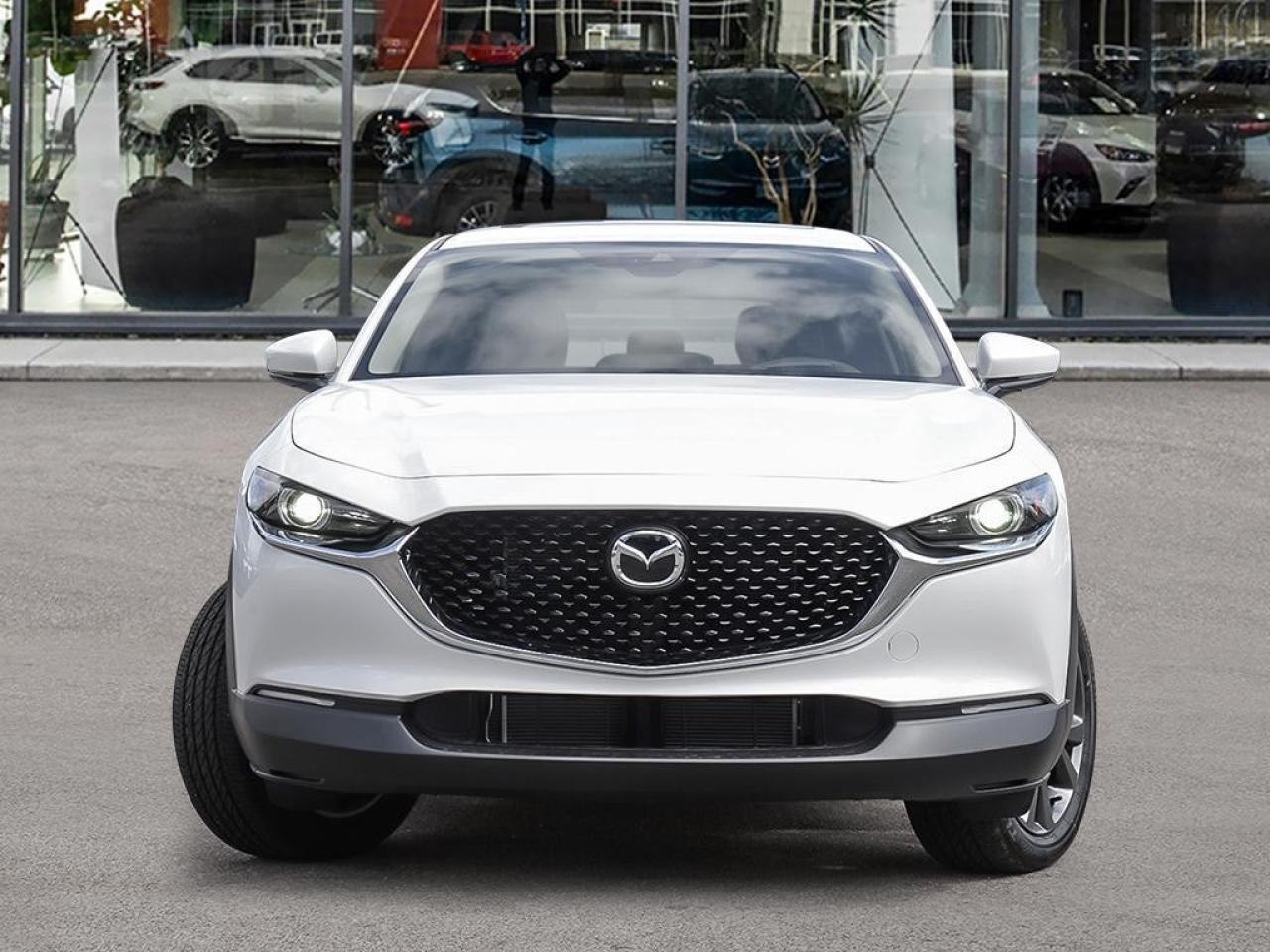 2025 Mazda CX-30 GT AWD Photo