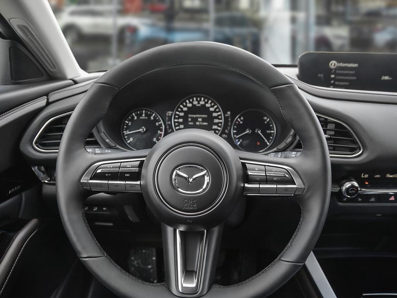 2025 Mazda CX-30 GT AWD Photo