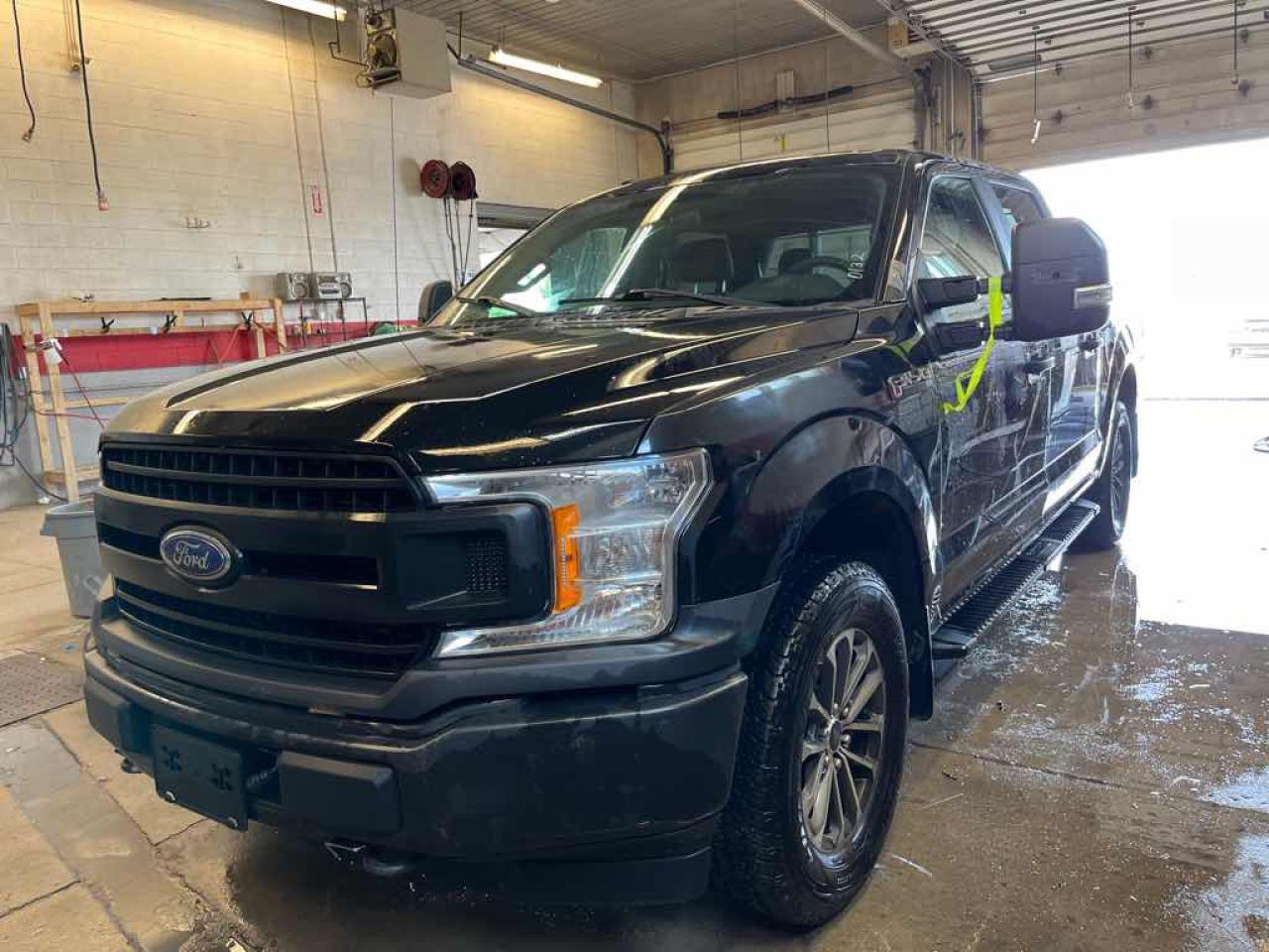 2019 Ford F-150 POLICE RESPON