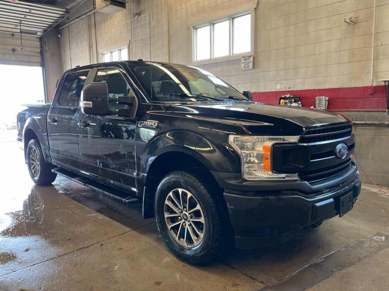 2019 Ford F-150 POLICE RESPON - Photo #3