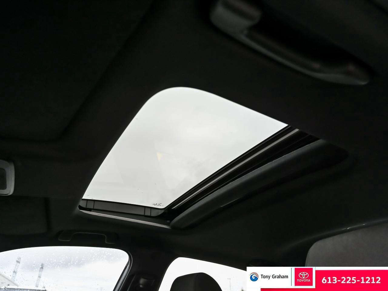 2025 Honda Civic Sport Photo