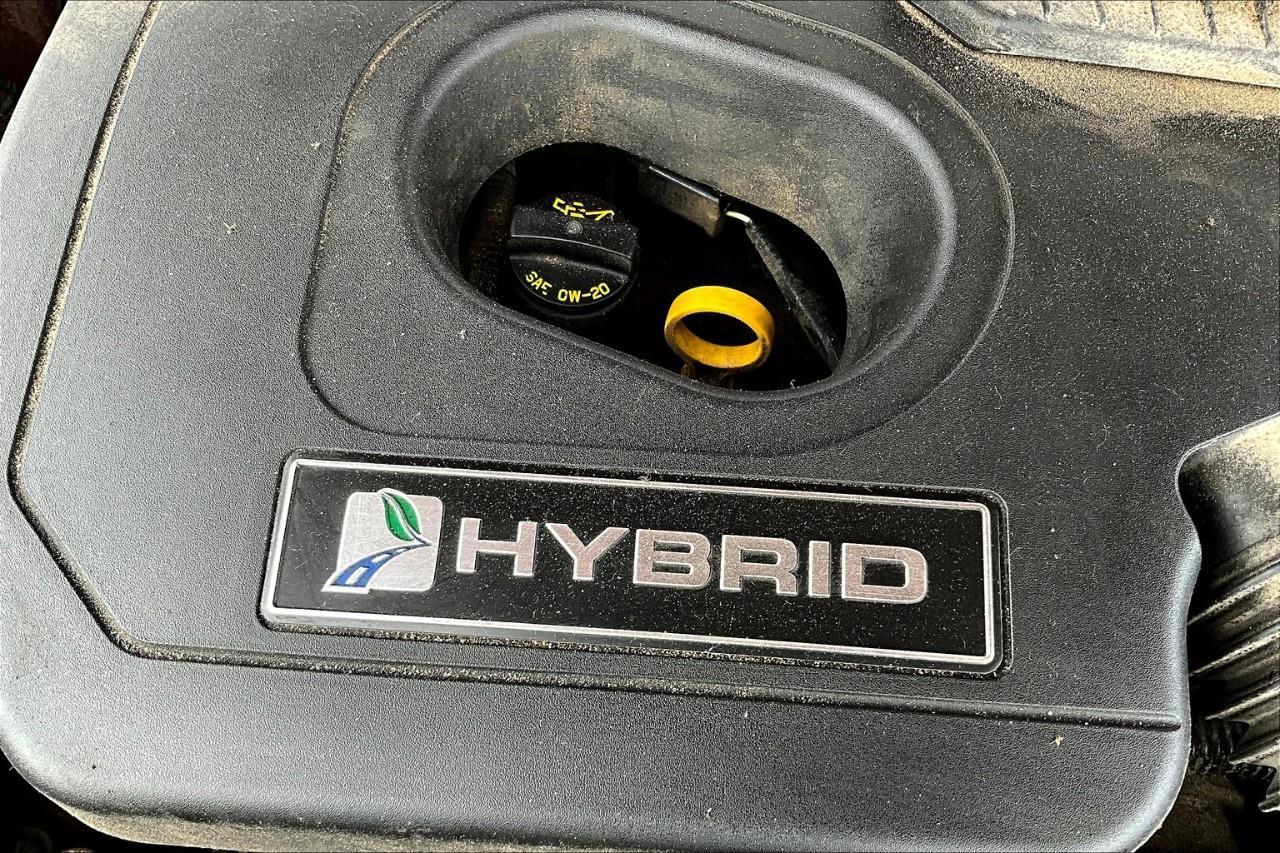 2020 Ford Fusion Hybrid Titanium Photo