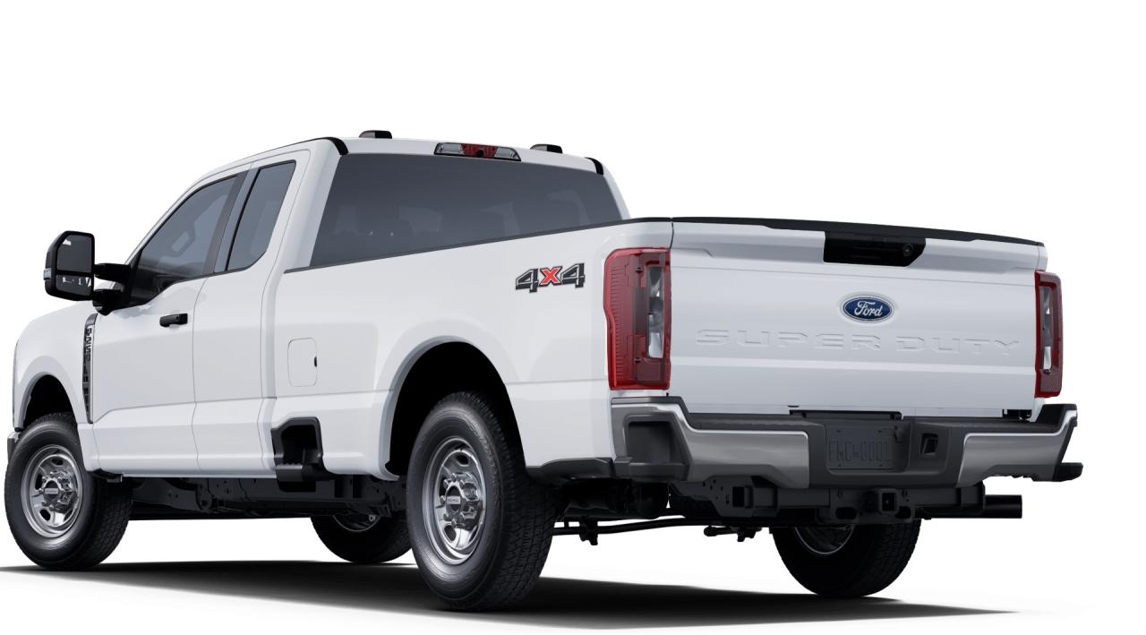 2025 Ford F-250  Photo