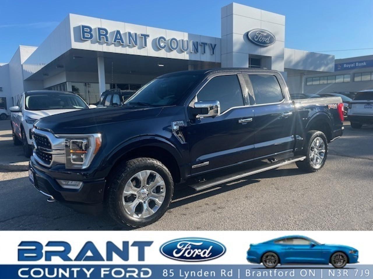 Used 2023 Ford F-150 PLATINUM | HYBRID | MOONROOF | FX4 | 52,832 KM | for sale in Brantford, ON