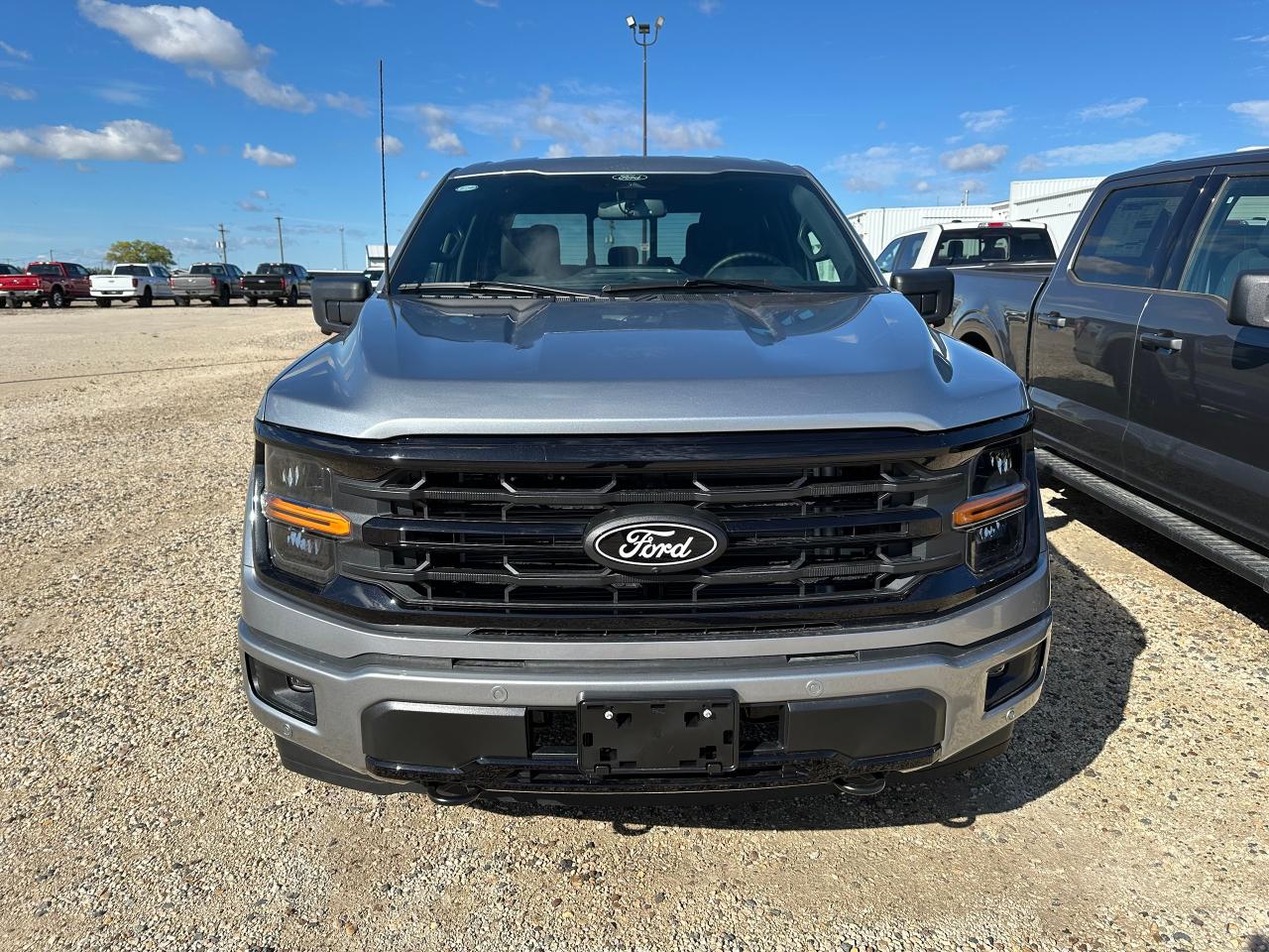 2025 Ford F-150 XLT 4WD SuperCrew 5.5' Box 302A Photo