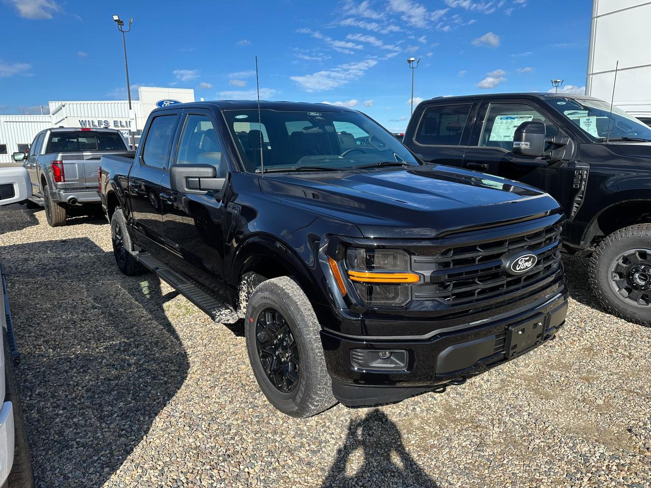 2025 Ford F-150 XLT 4WD SuperCrew 5.5' Box 301A Photo1
