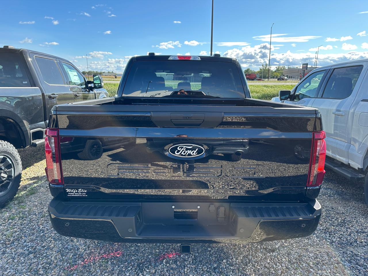 2025 Ford F-150 XLT 4WD SuperCrew 5.5' Box 301A Photo3