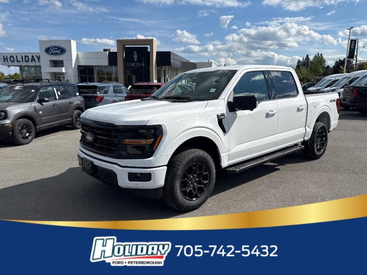 New 2025 Ford F-150 XLT for sale in Peterborough, ON