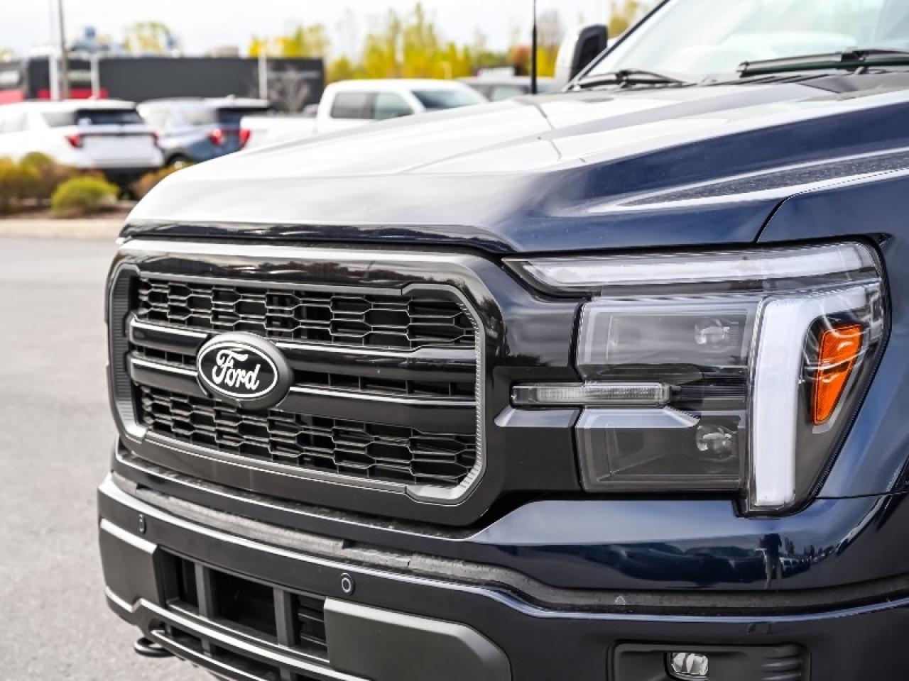 2025 Ford F-150 Lariat Photo