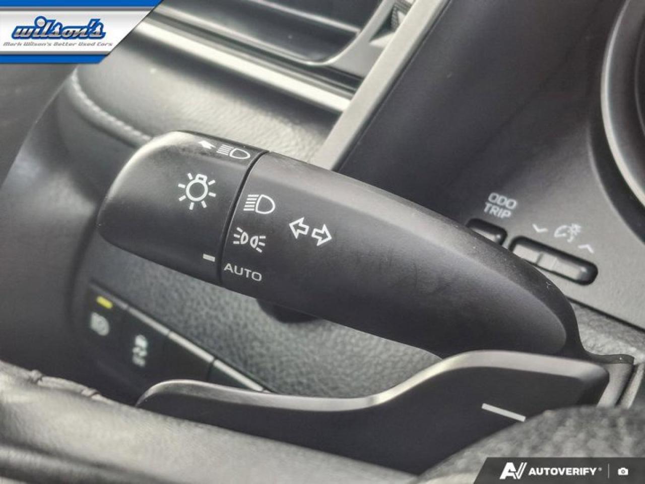 2024 Toyota Camry Hybrid SE | Sunroof | Heated Seats | CarPlay + Android | Power Seat | Rear Camera | and More ! Photo