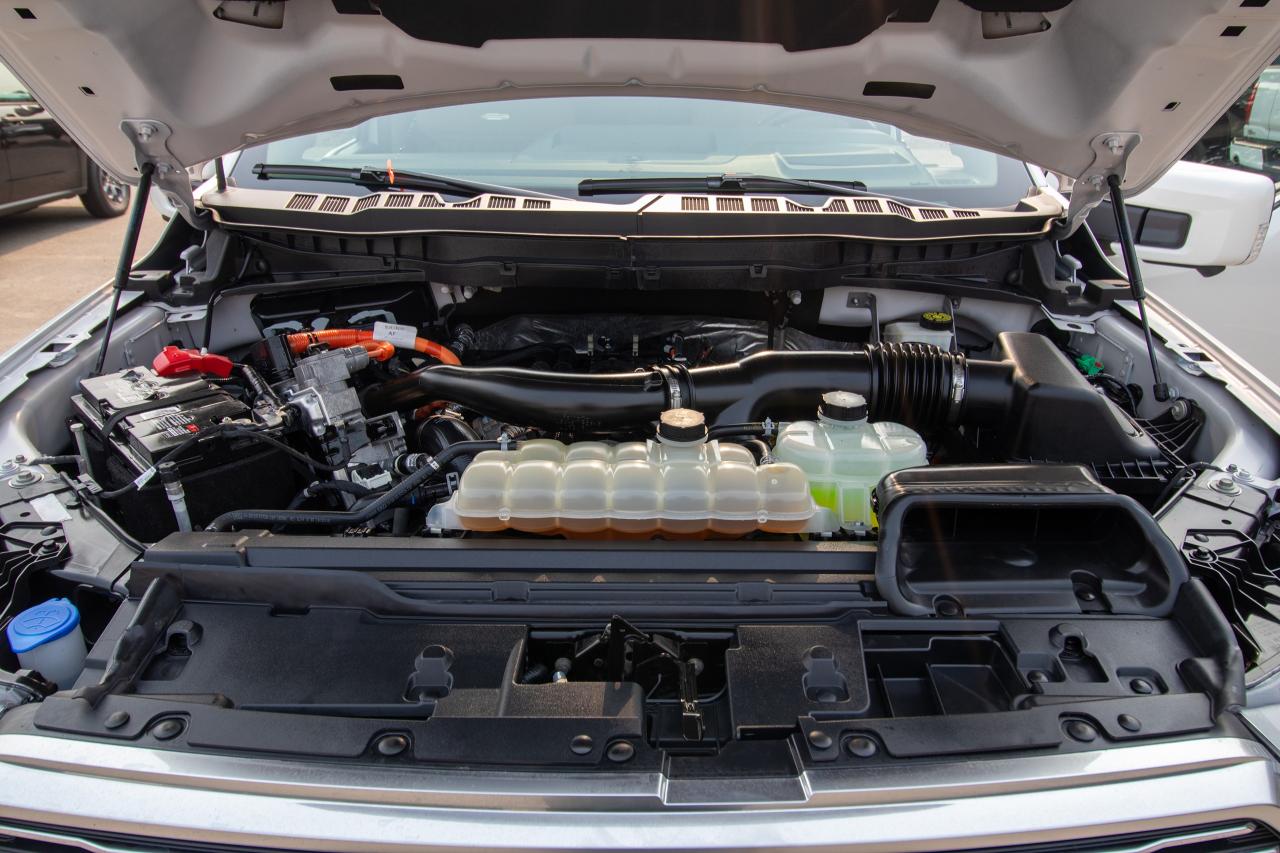2024 Ford F-150 Platinum Photo5