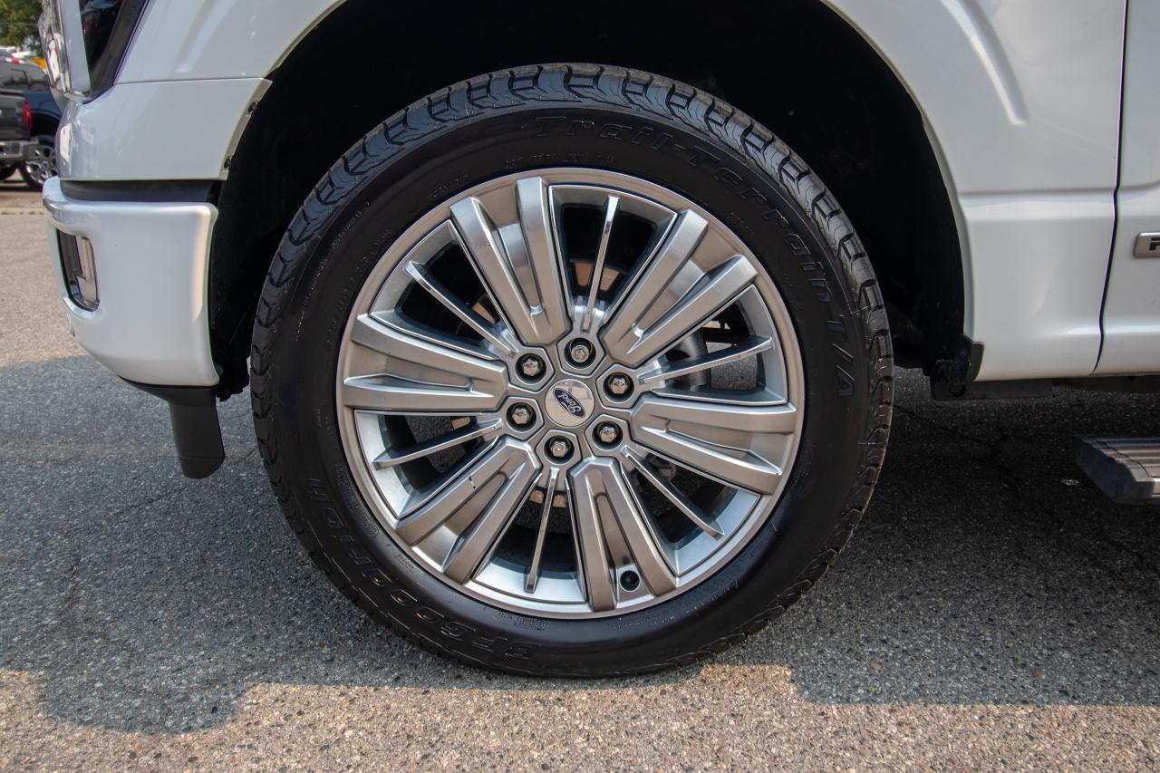 2024 Ford F-150 Platinum Photo5