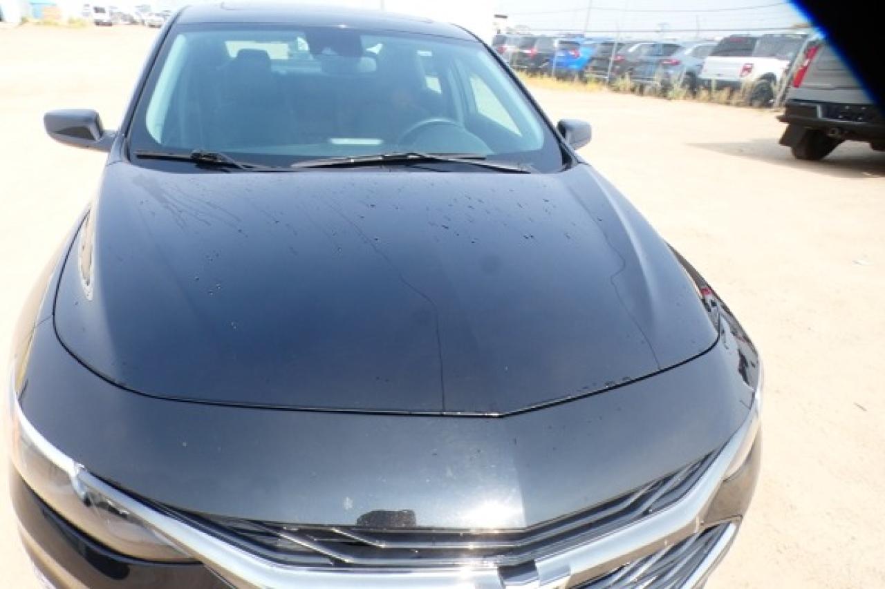 2023 Chevrolet Malibu 1LT w/Htd cloth, pano S/R, BUC - Photo #34