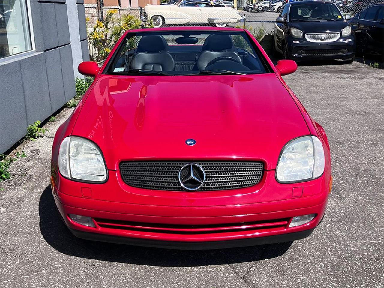 1998 Mercedes-Benz SLK SLK230|PWR TOP|LEATHER|ALLOYS - Photo #3