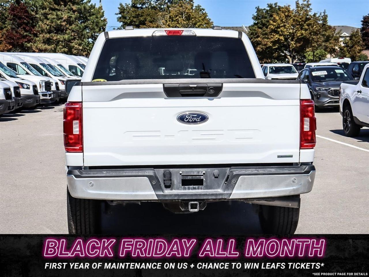 2023 Ford F-150 XLT 4WD SuperCrew 5.5' Box Photo