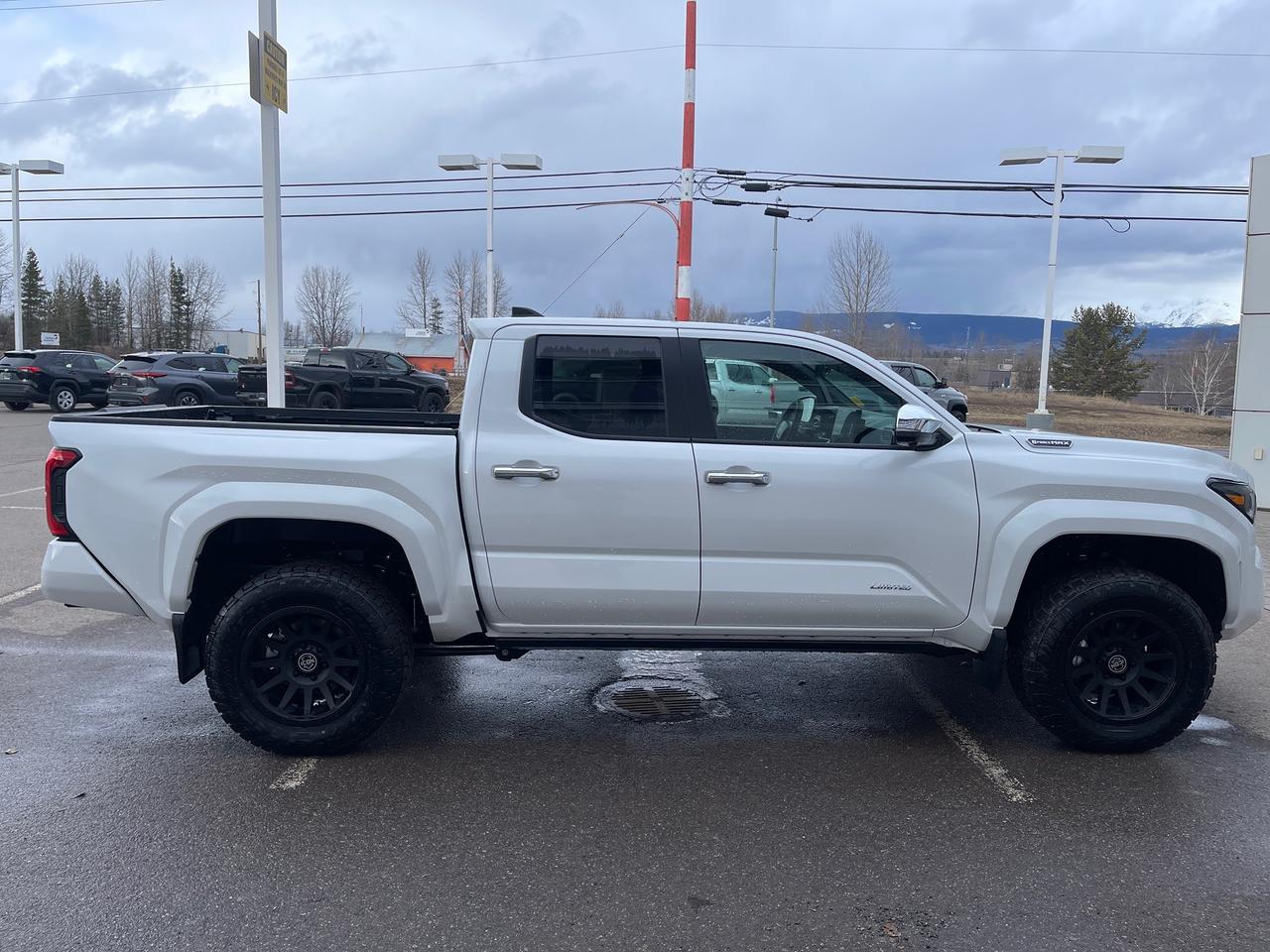 2025 Toyota Tacoma Hybrid Limited Photo3