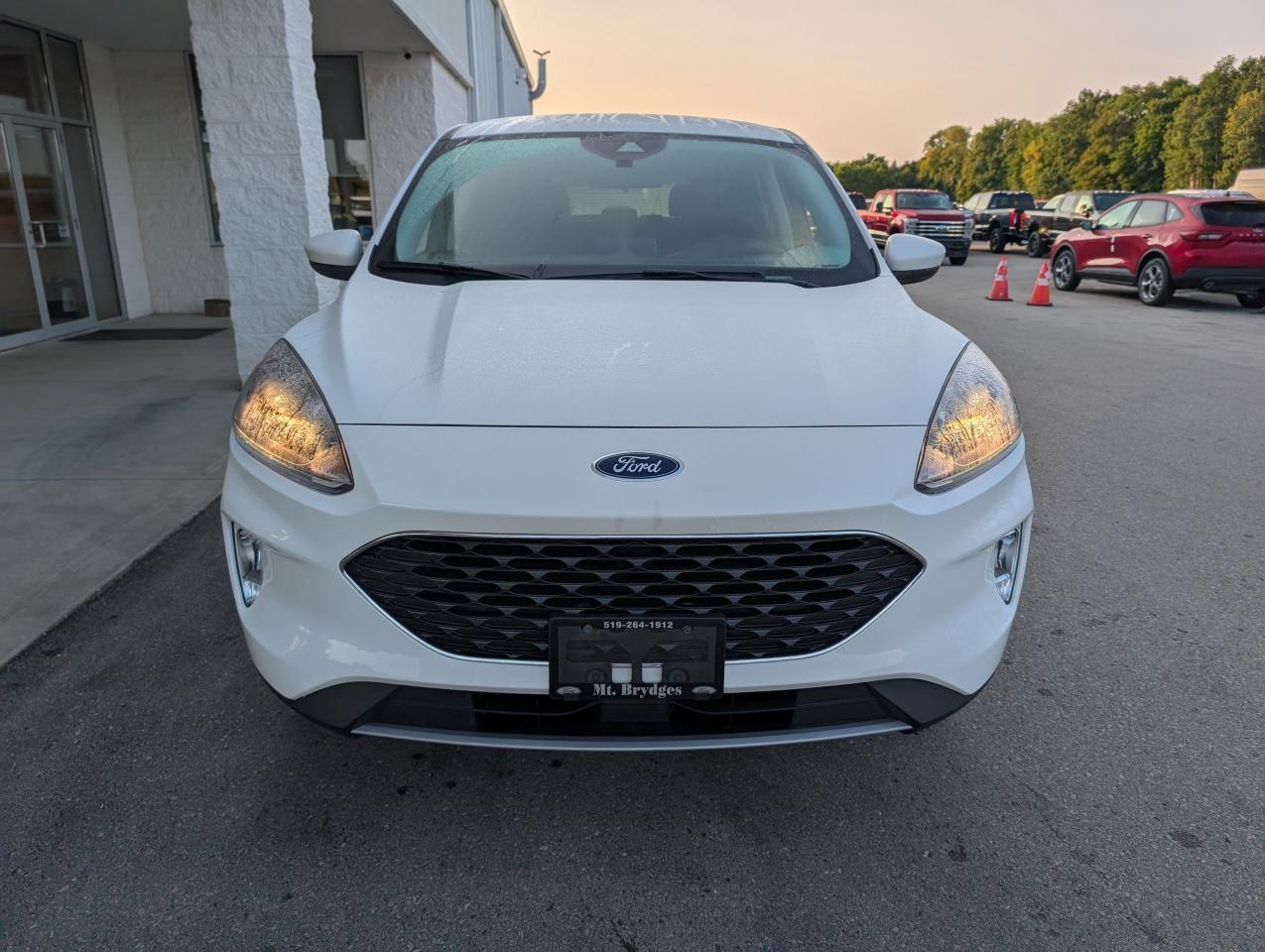 2022 Ford Escape SEL Photo