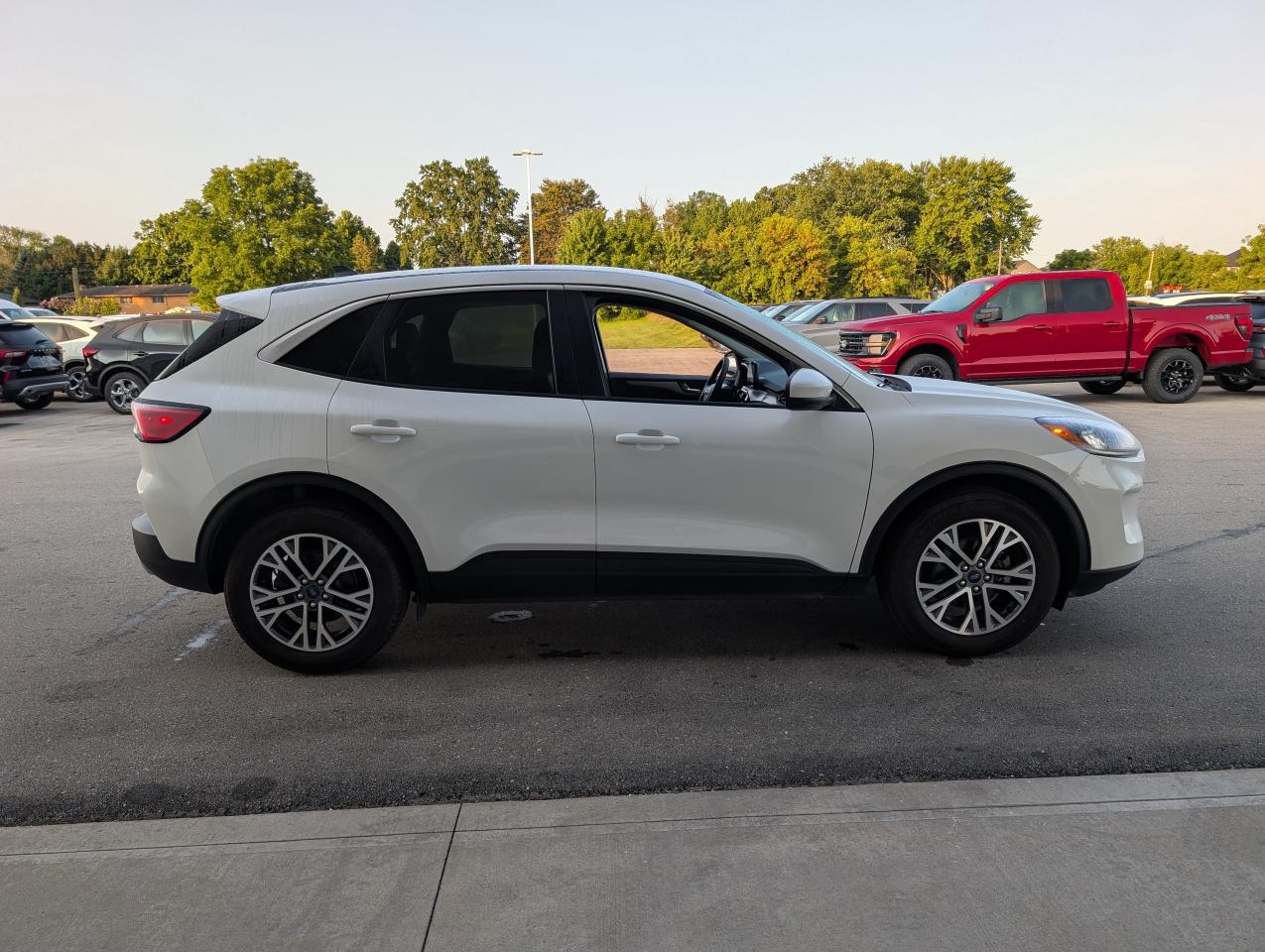 2022 Ford Escape SEL Photo