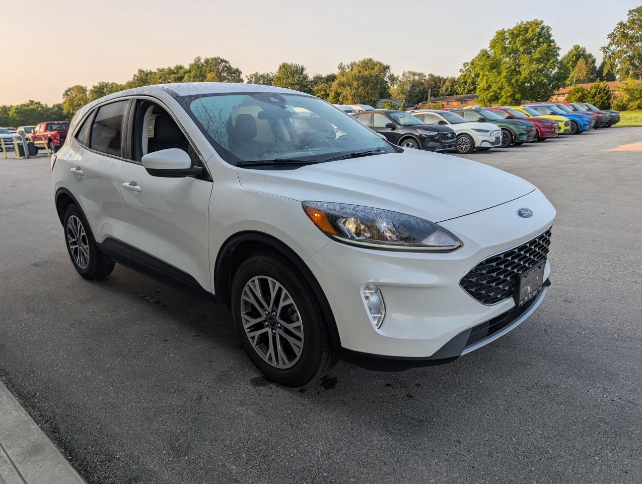 2022 Ford Escape SEL Photo2